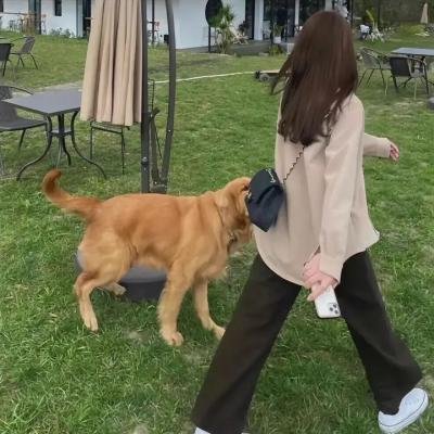 杜芭莉女士