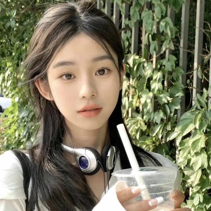 骑着鱼的猫
